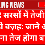 ये है सरसों में तेजी की बड़ी वज़ह: जाने और कितना तेज होगा बाजार