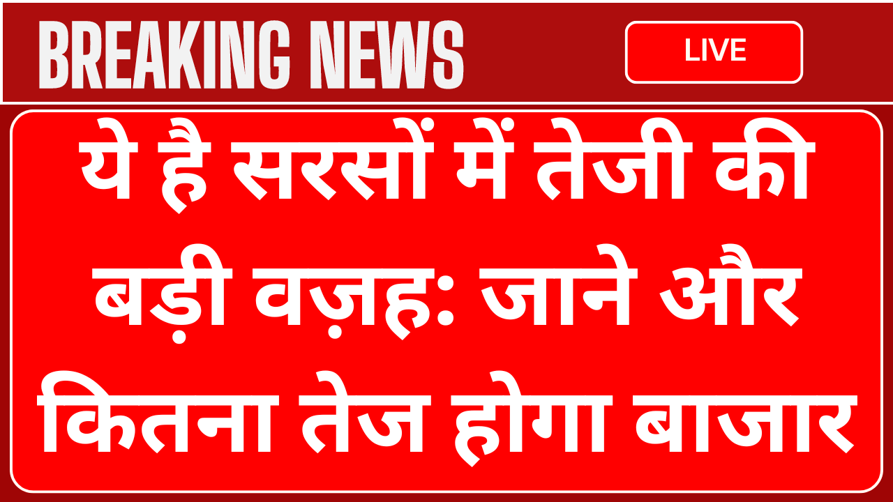 ये है सरसों में तेजी की बड़ी वज़ह: जाने और कितना तेज होगा बाजार