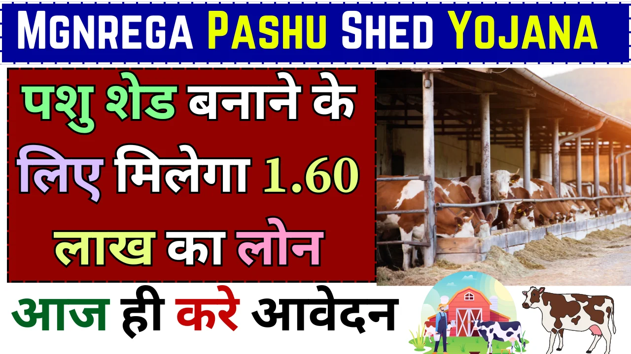 Mgnrega Pashu Shed Yojana 2024