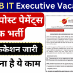 IPPB IT Executive Vacancy